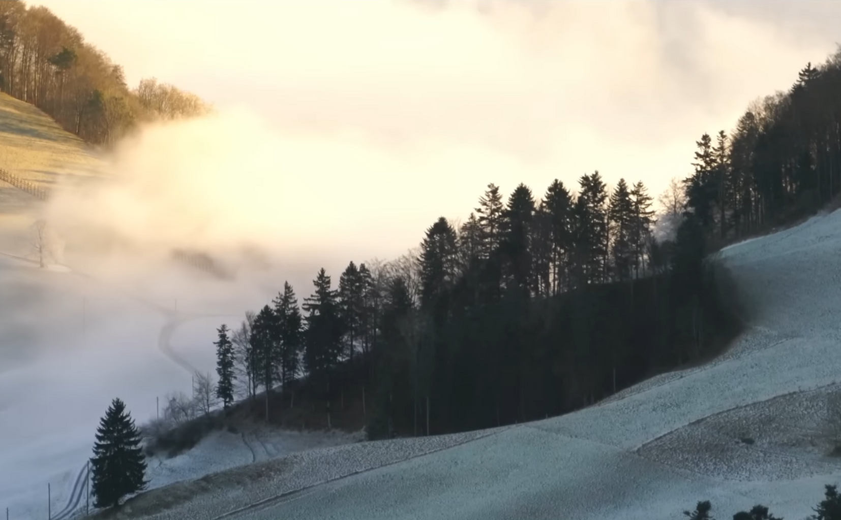 Watch 'Perennial'