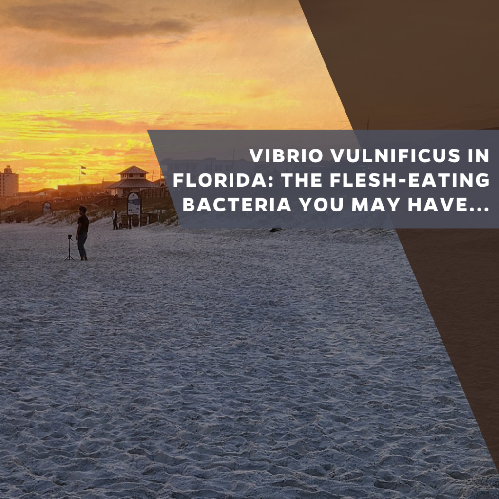 Vibrio vulnificus in Florida: the flesh-eating bacteria you may have heard about