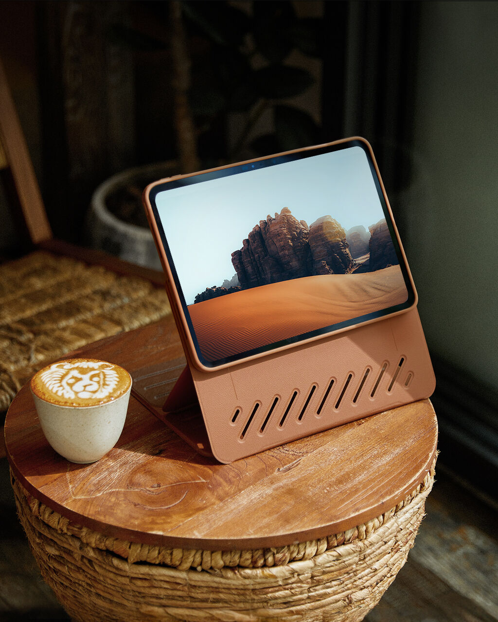 iPad1