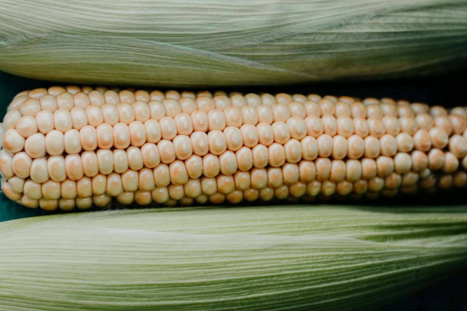 Top 10 Fruits & Vegetables In Season In the Summer Blog