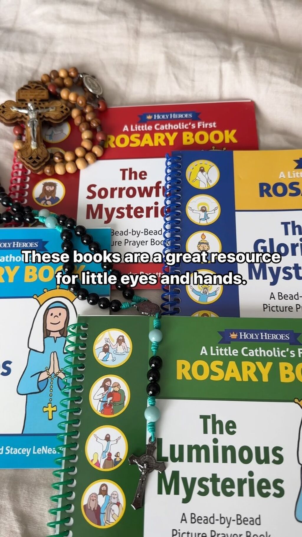 Holy Heroes Book Set