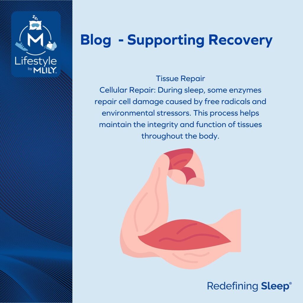 Supporting Recovery - Mlily UK