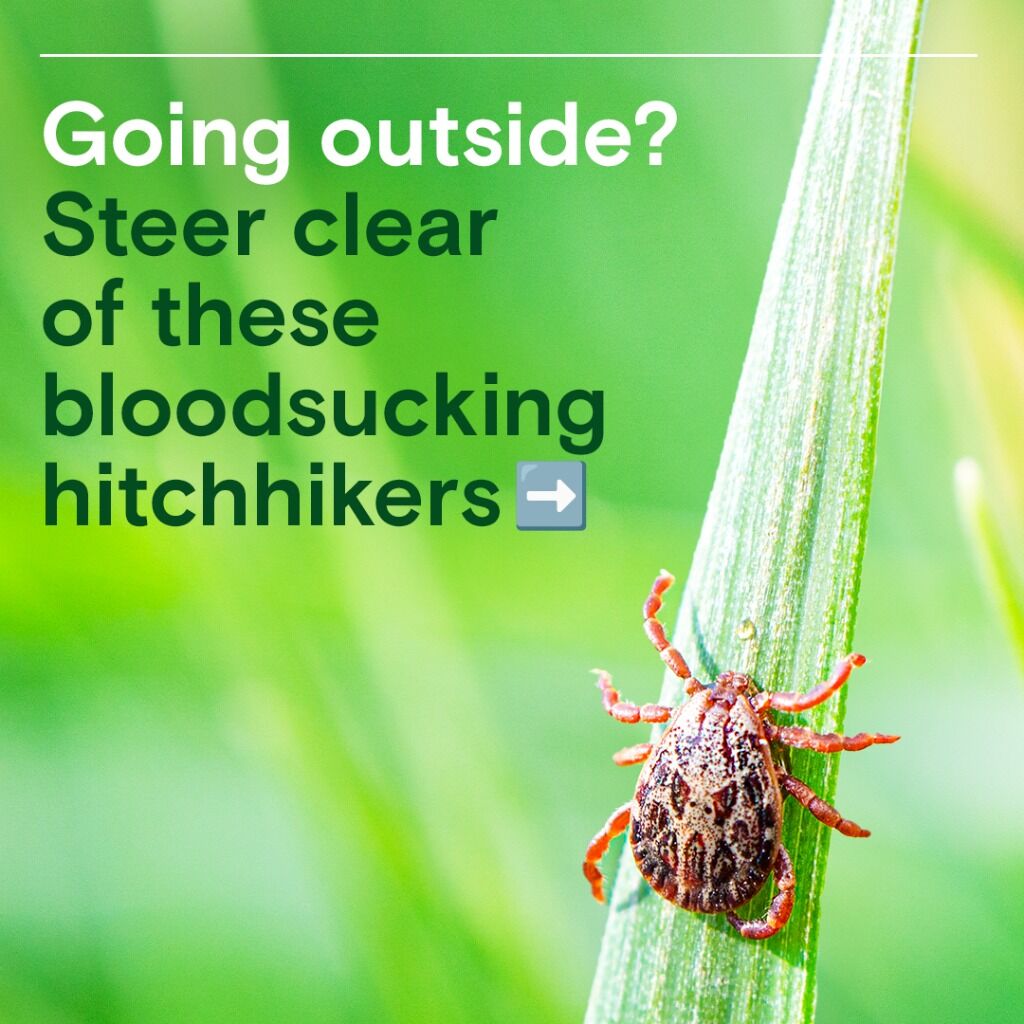 Lyme disease and other tick-borne illnesses