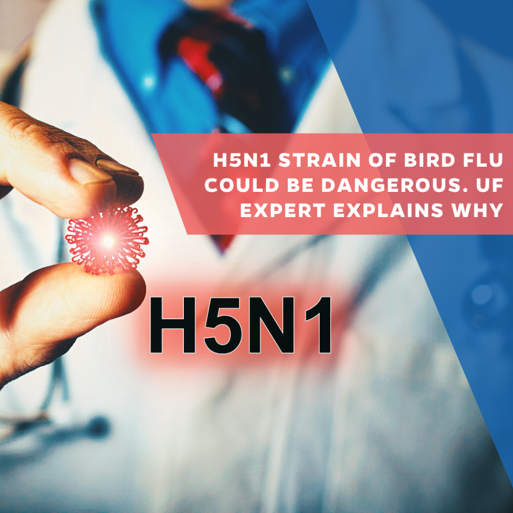 H5N1 strain of bird flu could be dangerous. UF expert explains why