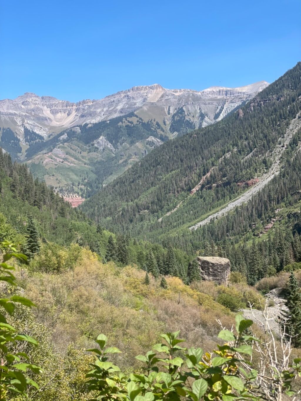 Telluride for All Seasons