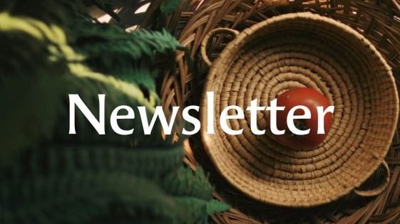 Weekly Newsletters