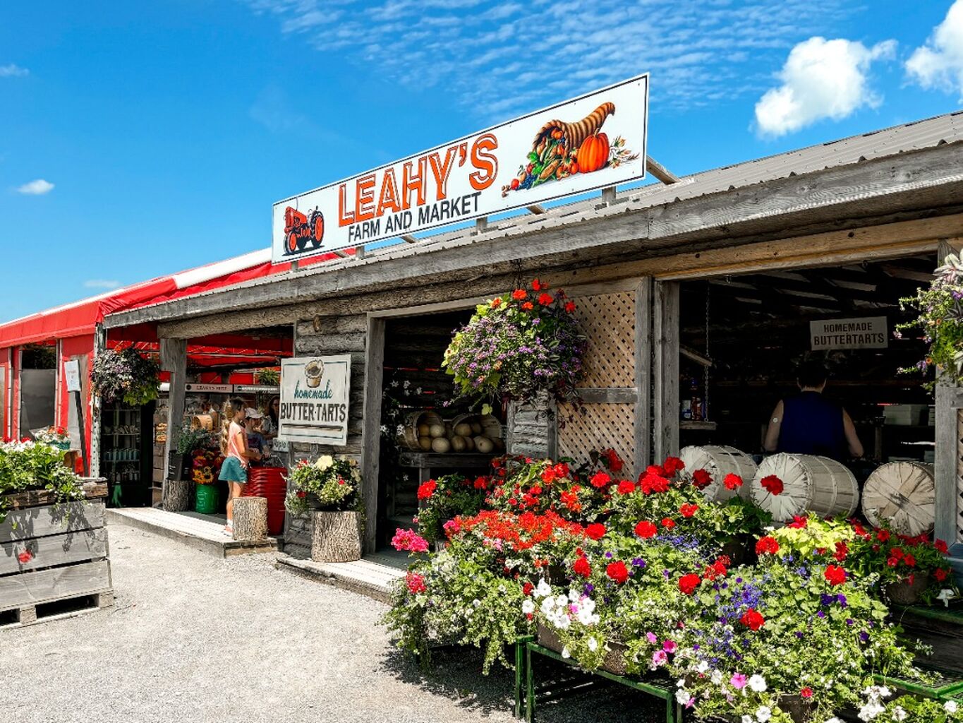 7 Must-Try Bites in Peterborough & the Kawarthas
