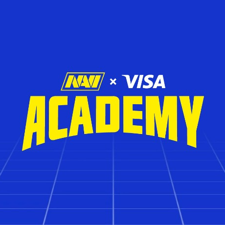 NAVI Visa Academy