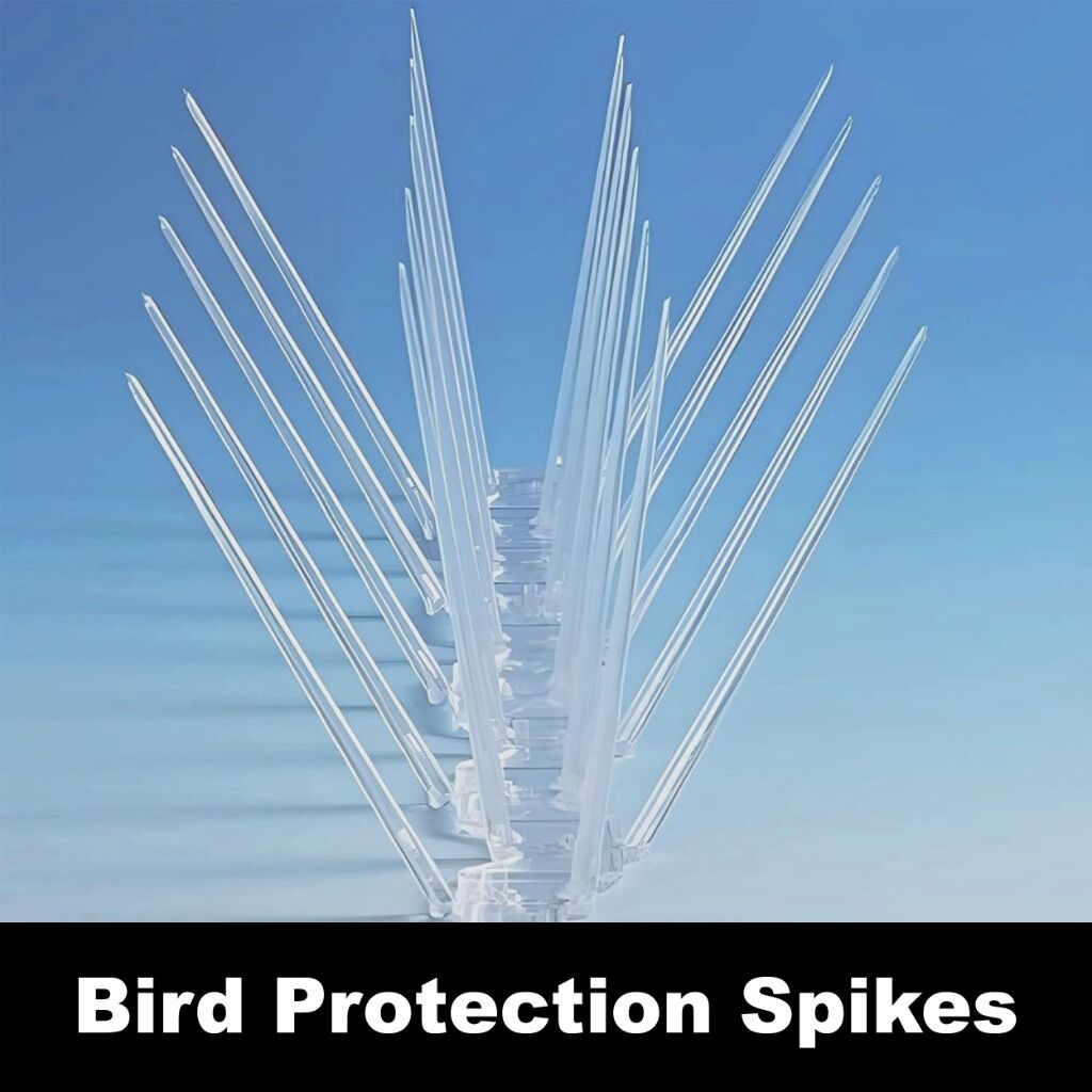 Bird Protection Spike