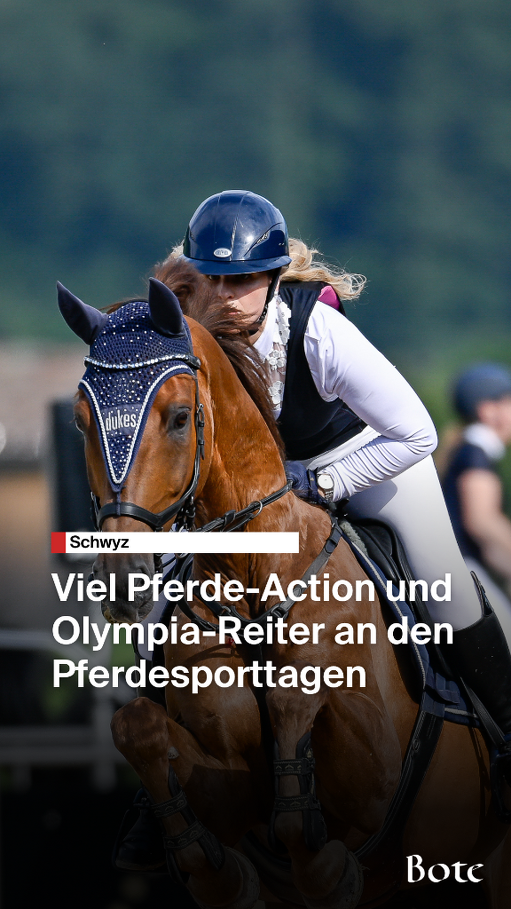 Pferdesporttage