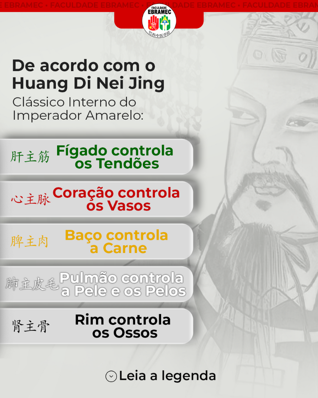 Huang Di Nei Jing e Org&atilde;os