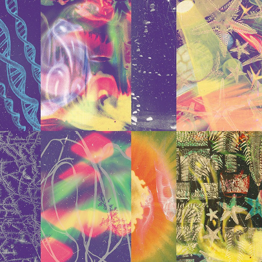 (News) Nap Eyes Open "The Neon Gate" &ndash; Preorder & Hear "Passageway"