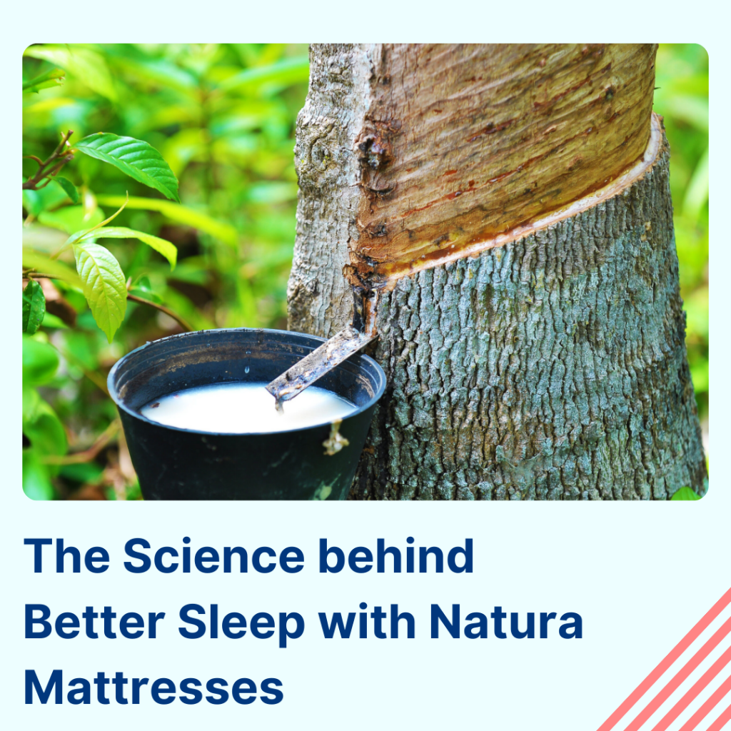 The Science behind Better Sleep with Natura Mattresses
