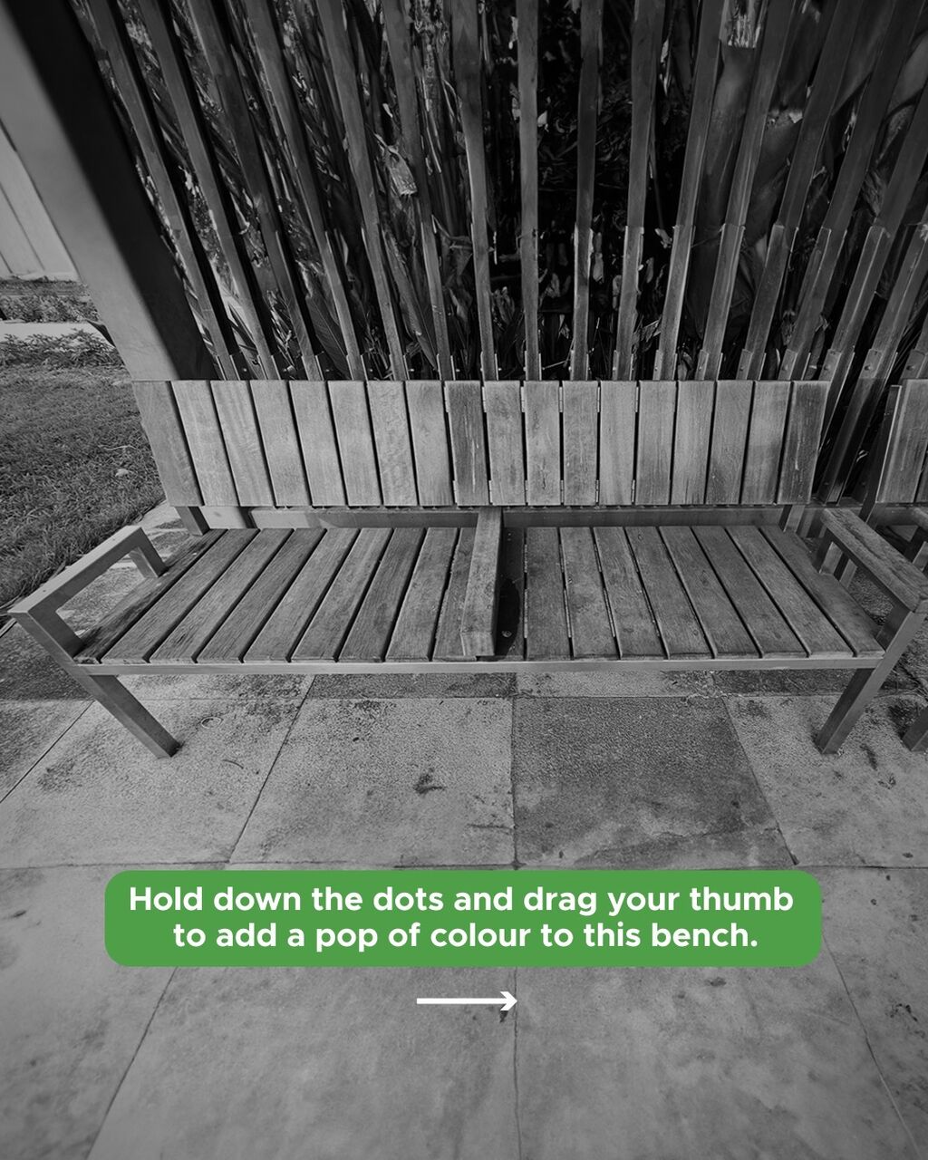 Lively Places Fund: Pop of Colour