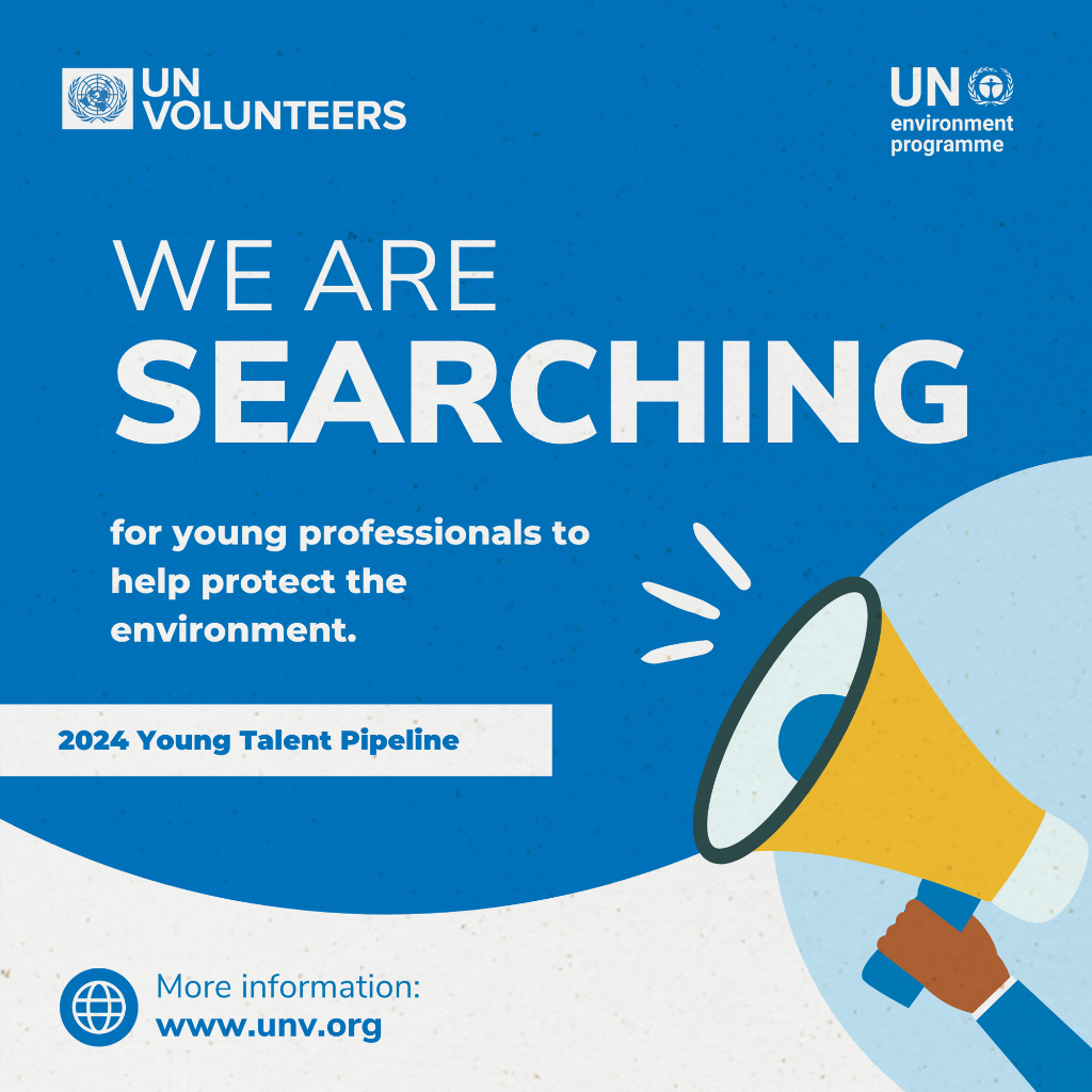 UNEP UNV Young Talent Pipeline begins its second phase