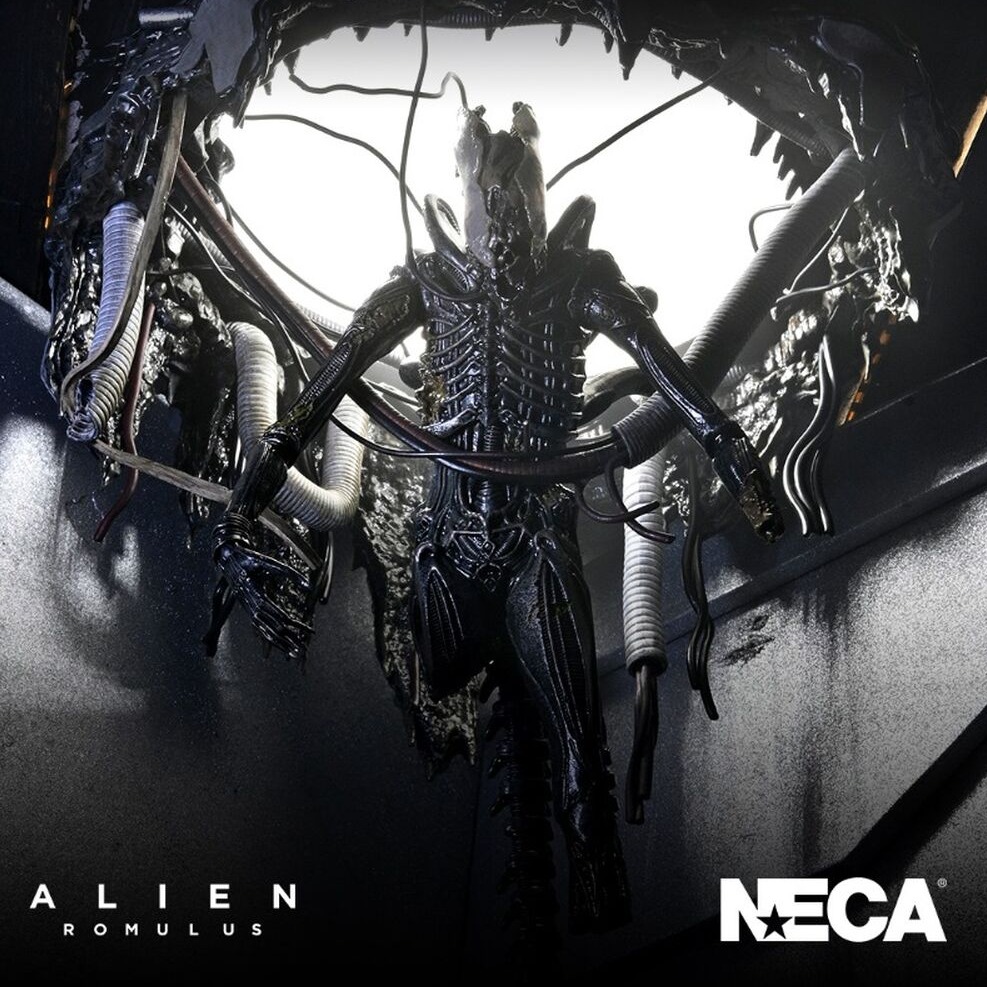 ALIEN: ROMULUS - COLLECTION