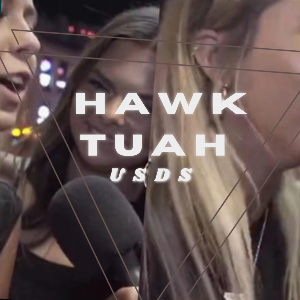 USDS - Hawk Tuah (Official Audio) : FREE Download 