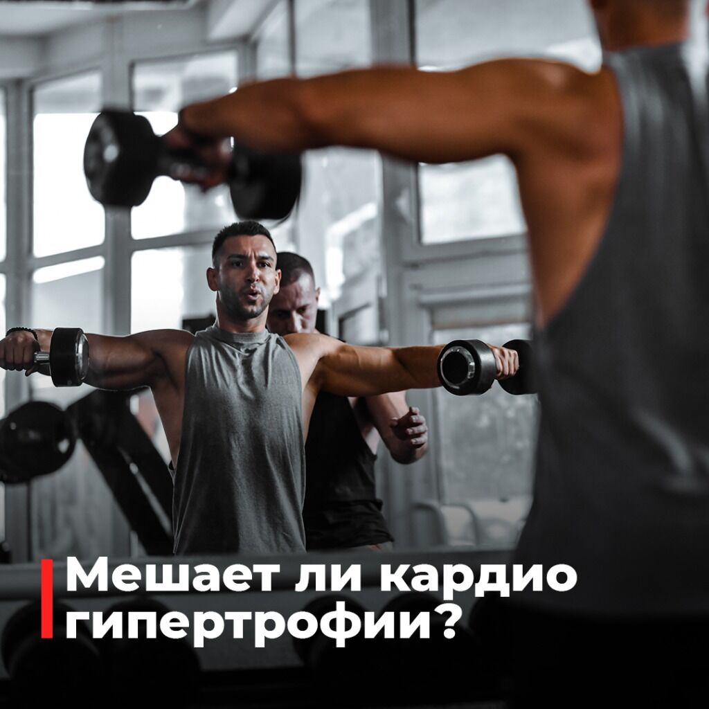 Статья