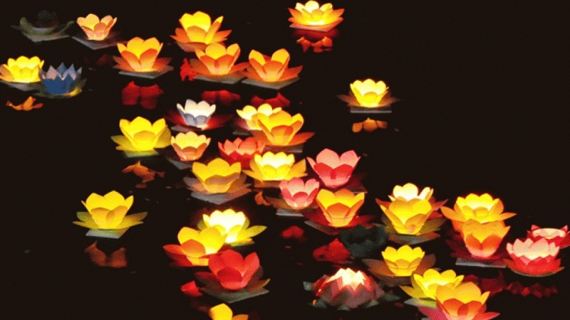 Vu Lan B&aacute;o Hiếu 2024: Lễ hội tri &acirc;n cha mẹ đầy &yacute; nghĩa & trọn vẹn nhất 🌸