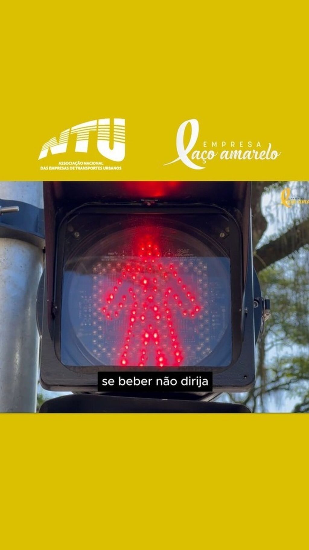 LA&Ccedil;O AMARELO