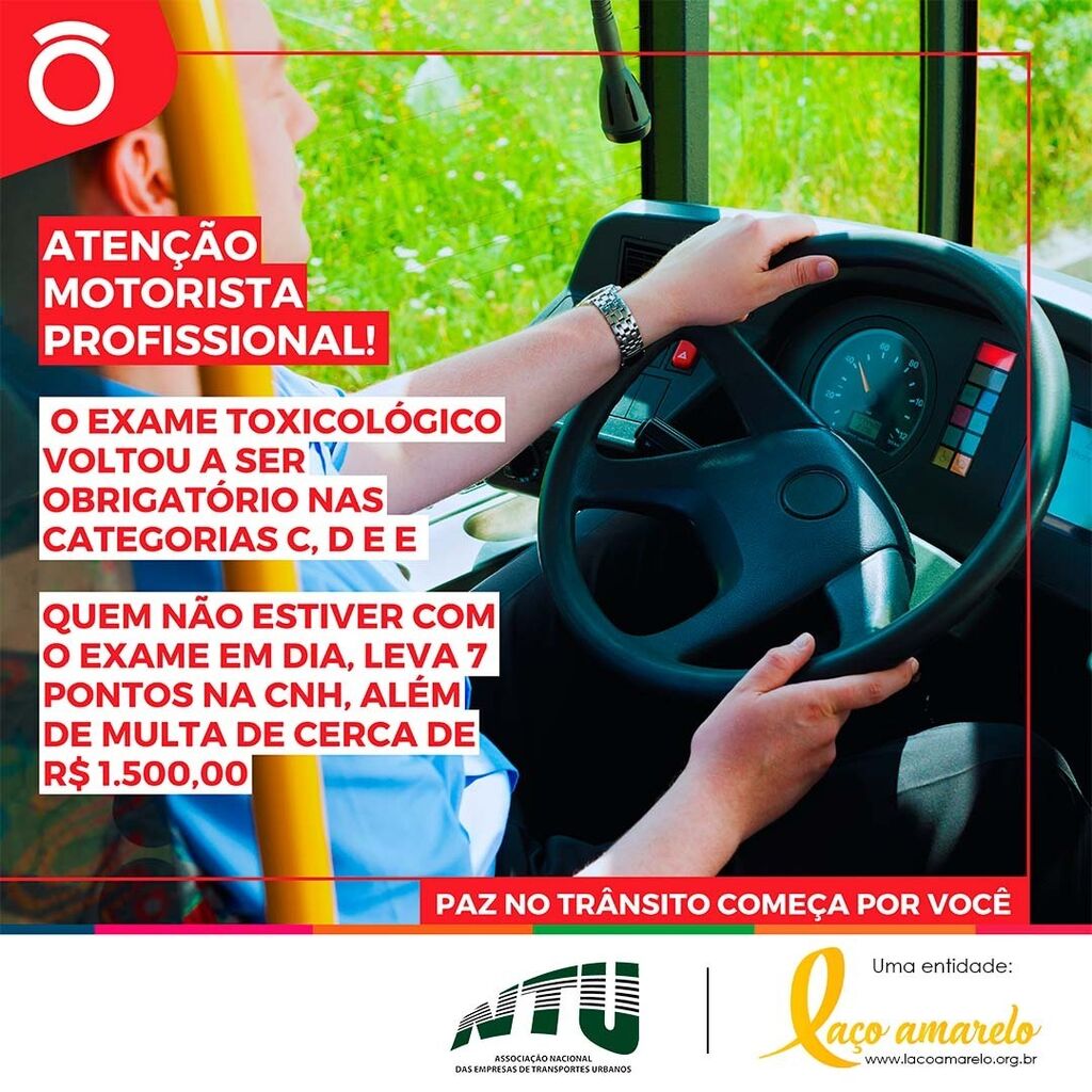La&ccedil;o Amarelo