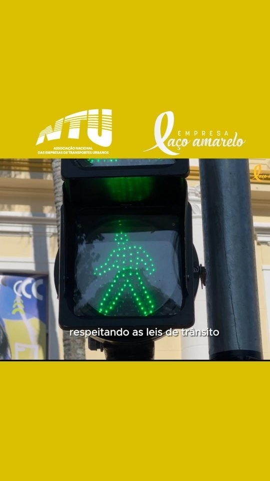La&ccedil;o Amarelo