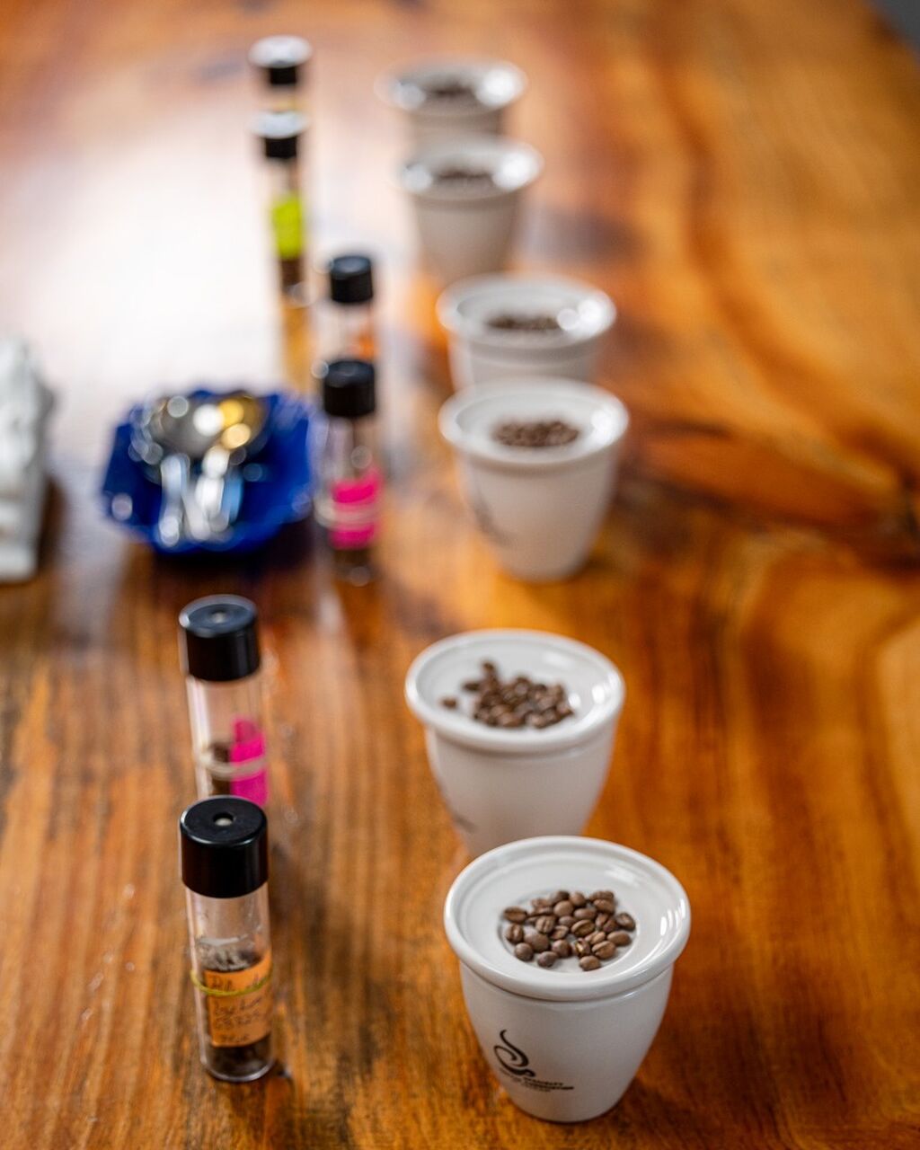 Free Friday Cupping - Sign up!