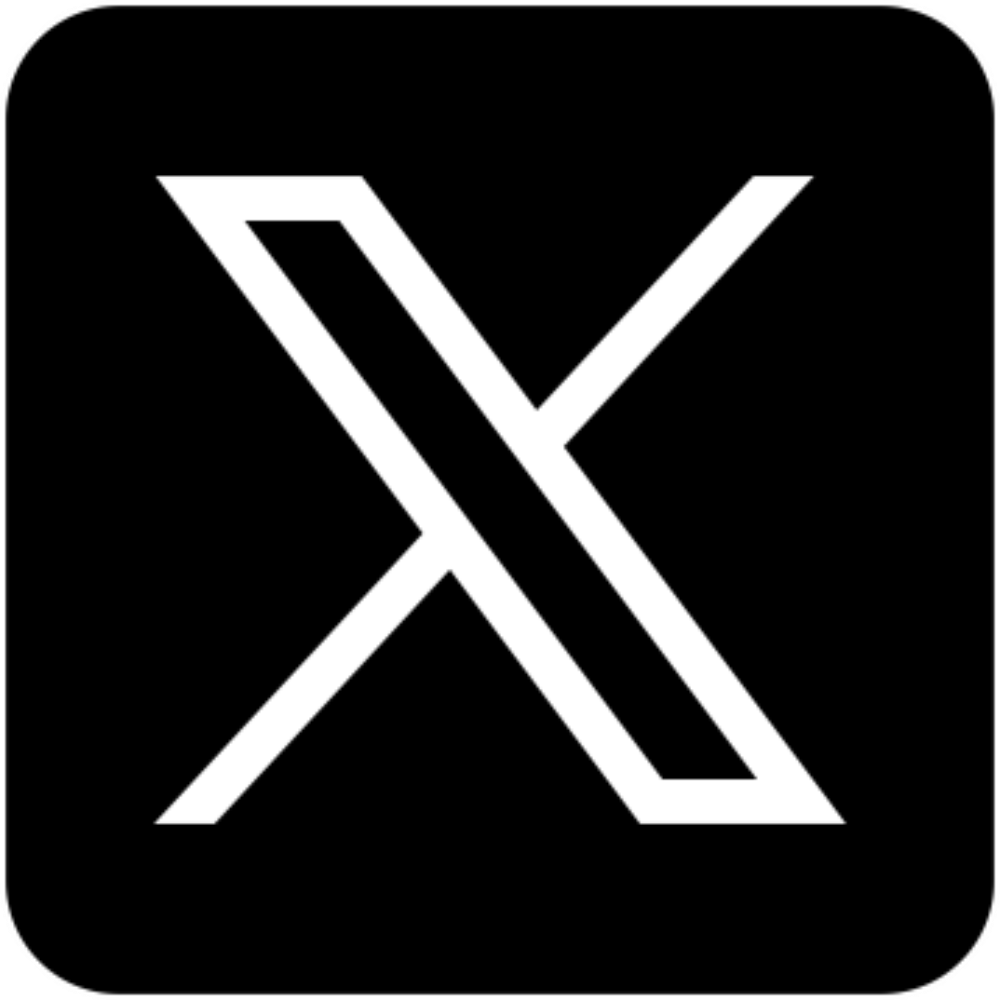 Audit Twitter/X.com