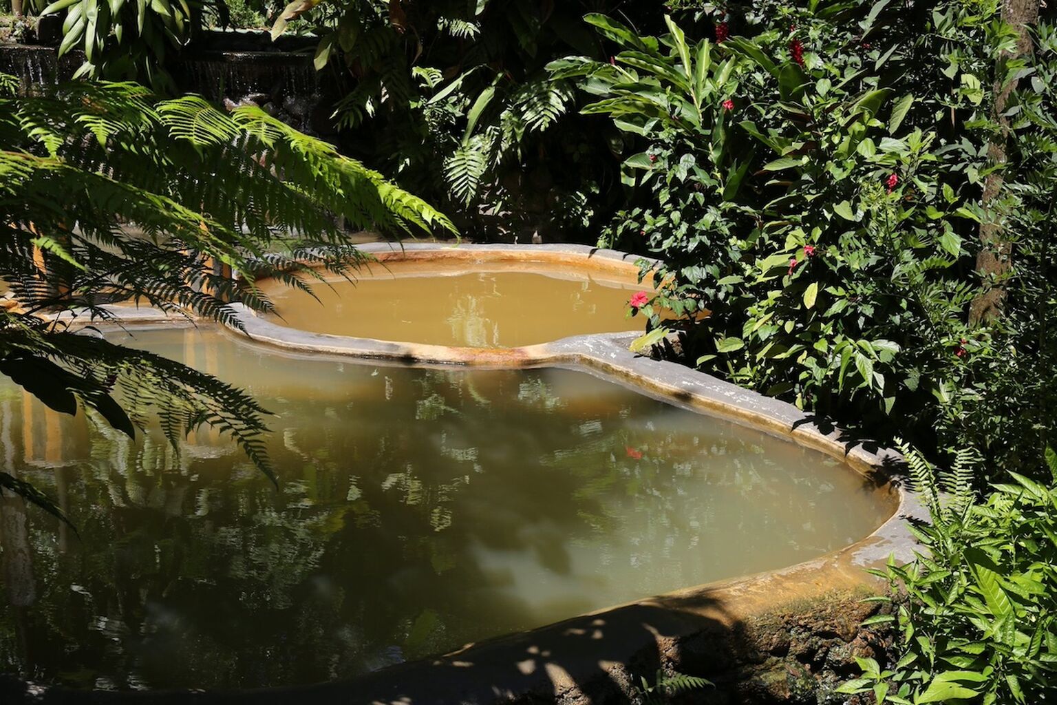 Discover Dominica's Hidden Gems: Secret Bay's Guide to Natural Sulphur Spas &ndash; Secret Bay