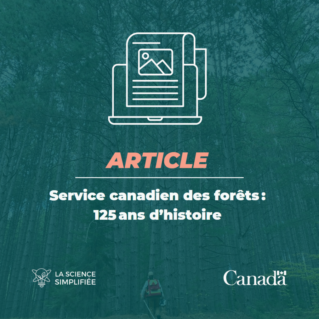 Service canadien des for&ecirc;ts : 125 ans d&rsquo;histoire