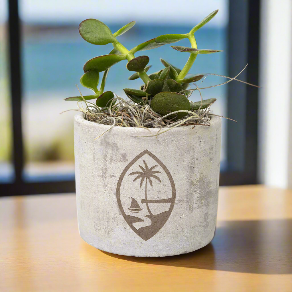 Desk Plants