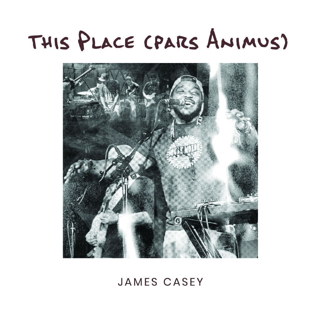 Pre-Save This Place (pars Animus) by James Casey