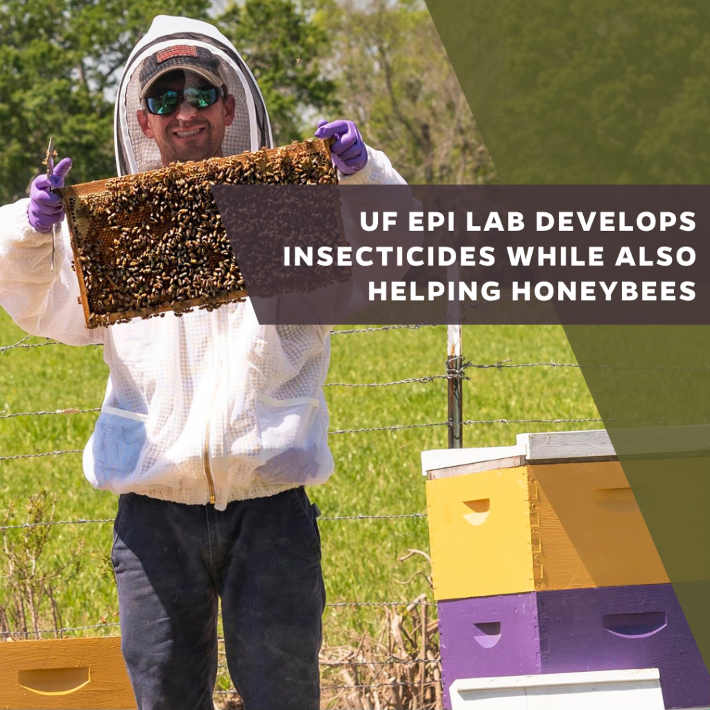 UF EPI lab develops insecticides while also helping honeybees