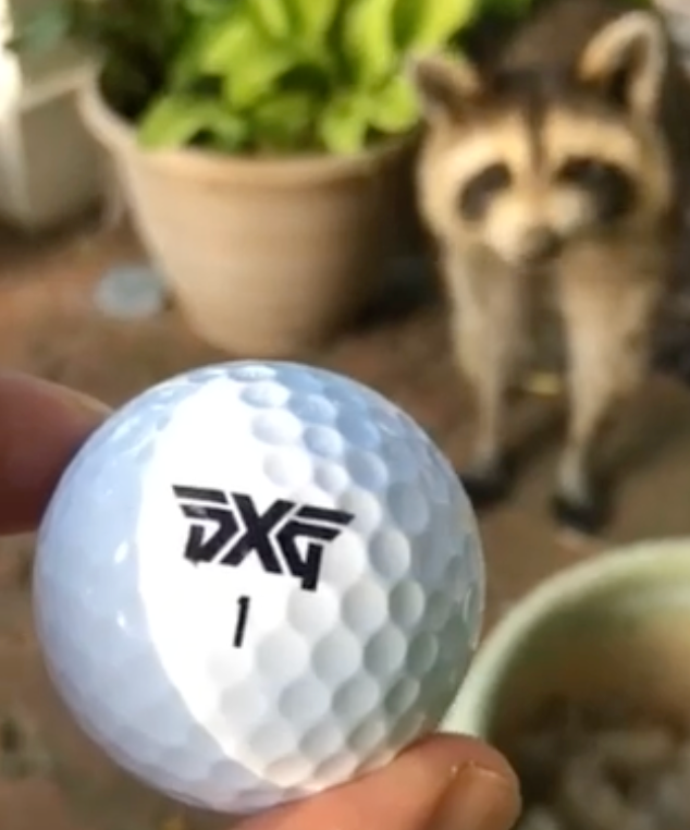 A Golf Ball For All 
