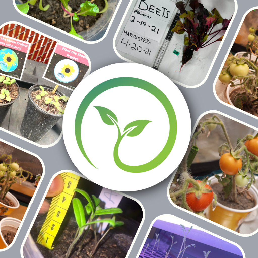 Plant The Moon Challenge