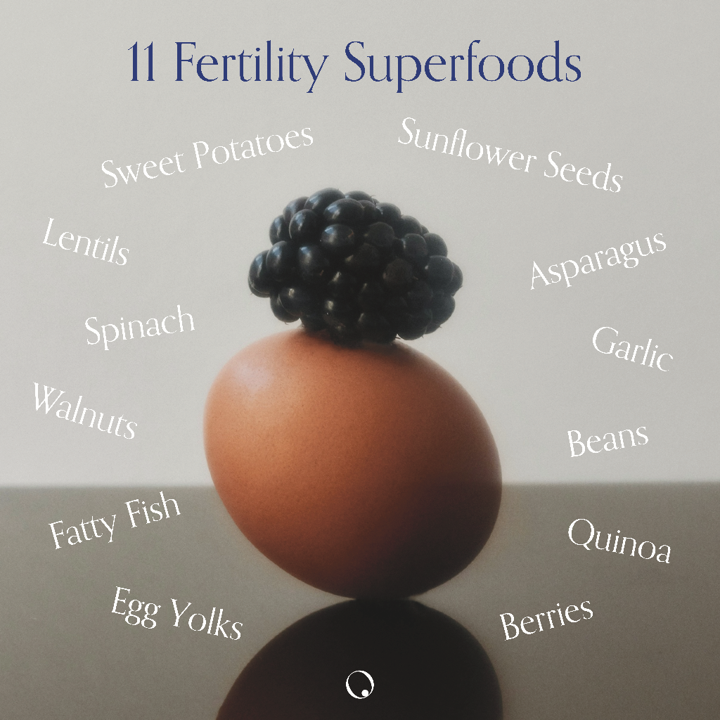 11 Fertility Superfoods to Know About When Trying to Conceive