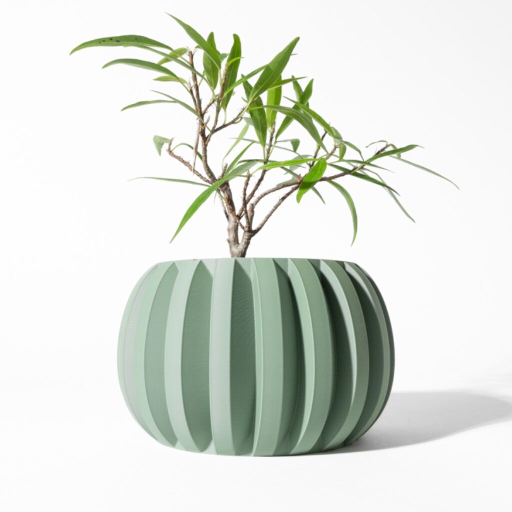 The Jone Planter