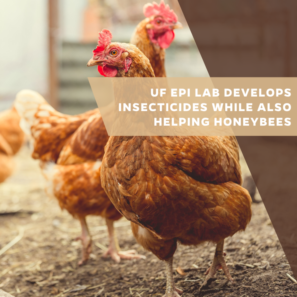 UF EPI launches bird flu team to research H5N1 and assist Florida&rsquo;s response