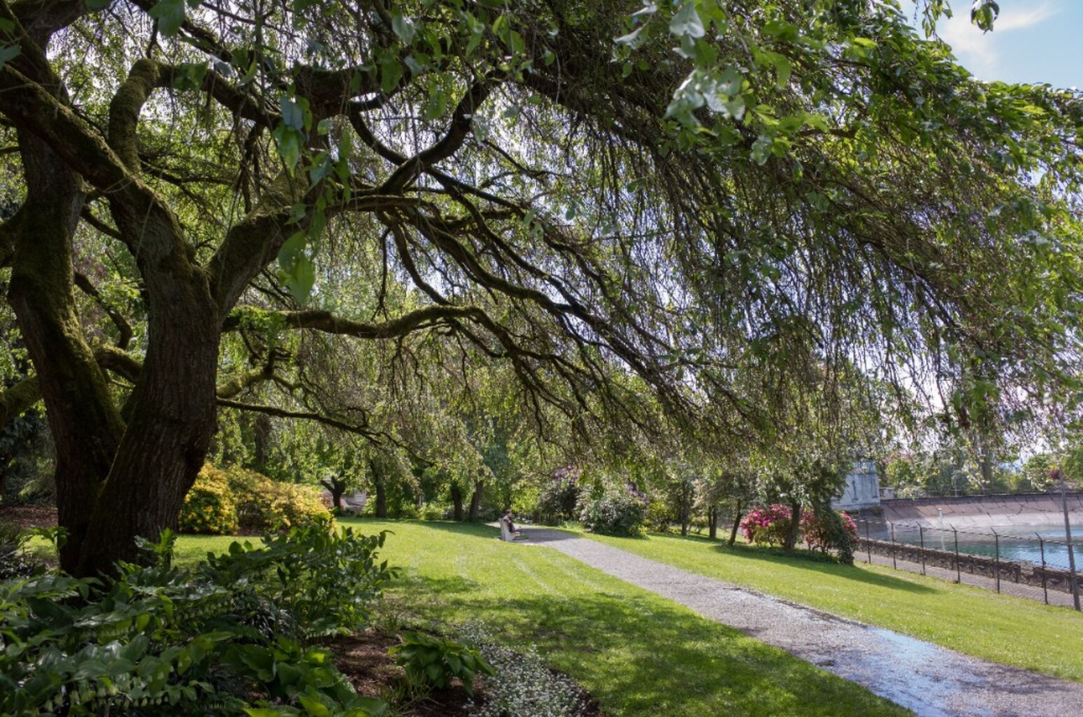 Walking Tour: Volunteer Park