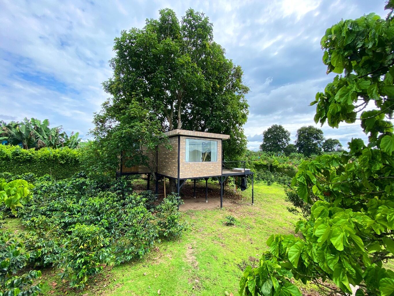Casa del &Aacute;rbol en Airbnb 🌳