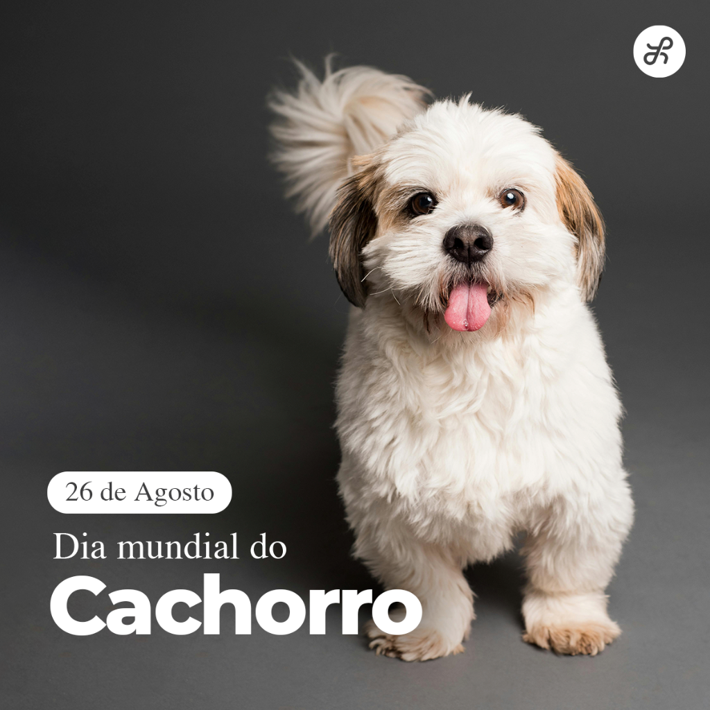 Dia do Cachorro - 2024