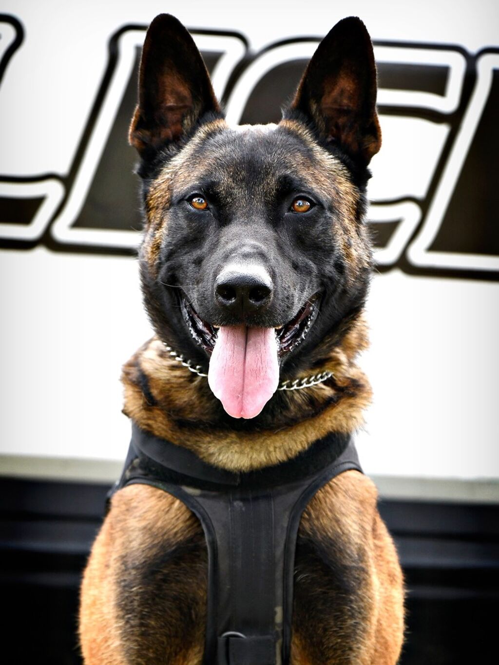 GPD K9 Unit