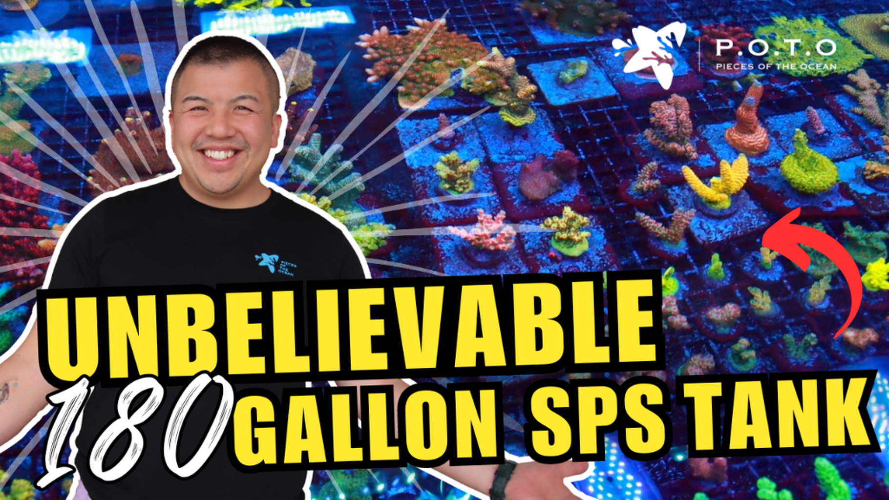 More POTO SPS Factory SECRETS that pump out TONS of Frags! - Never Revealed Before!