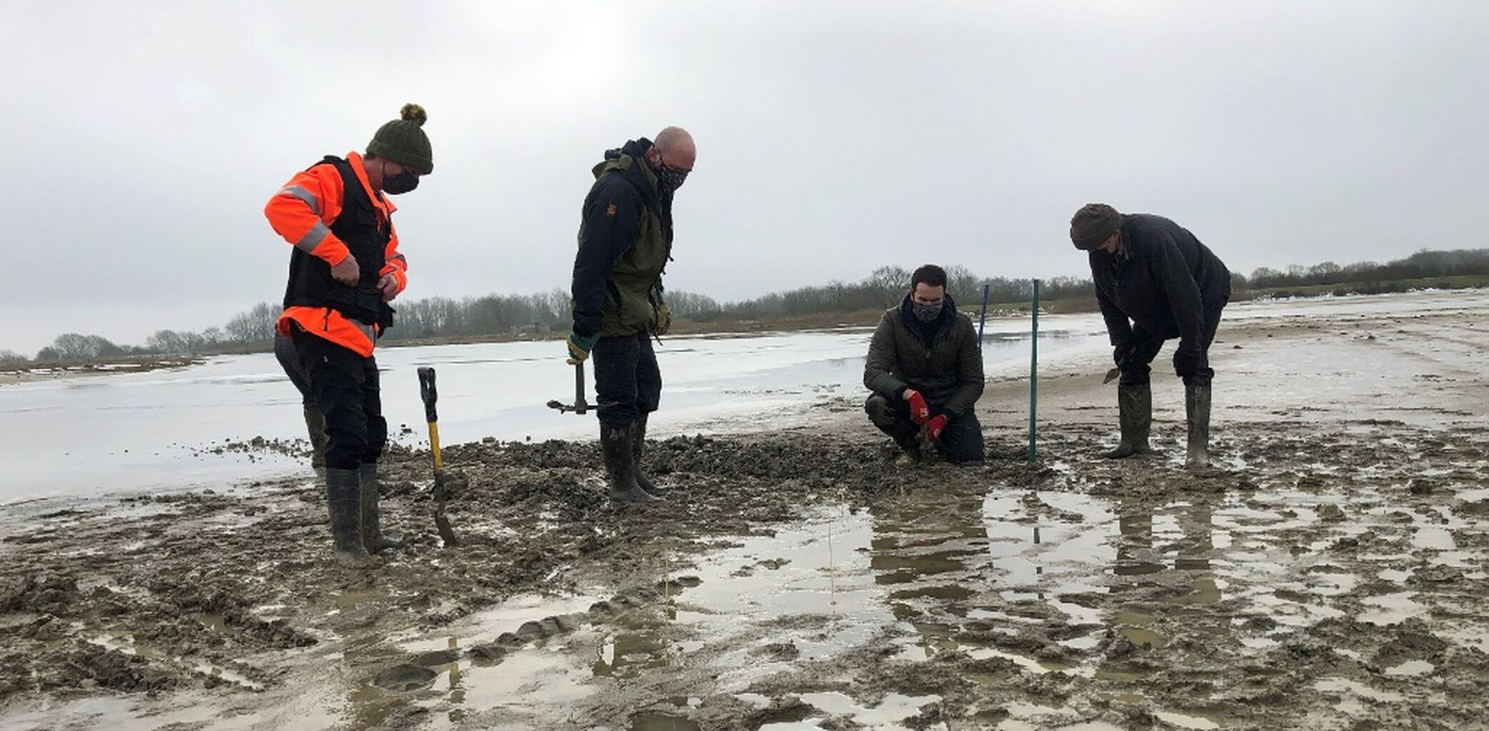 Co-author " Excavating the &lsquo;Rutland Sea Dragon&rsquo;: The largest ichthyosaur skeleton ever found in the UK " published paper here.