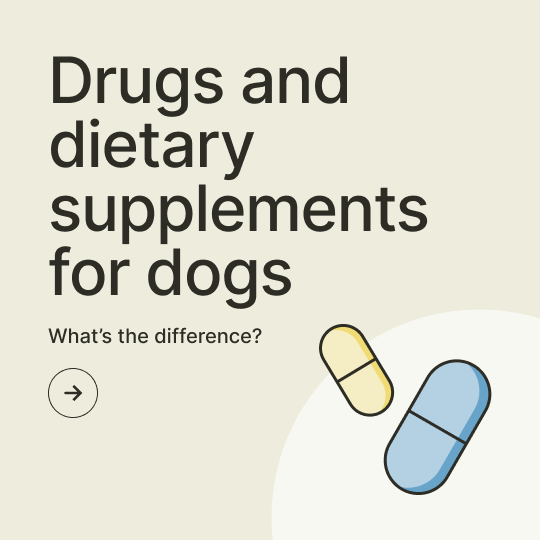 Drugs and Dietary Supplements for Dogs: What&rsquo;s the Difference?