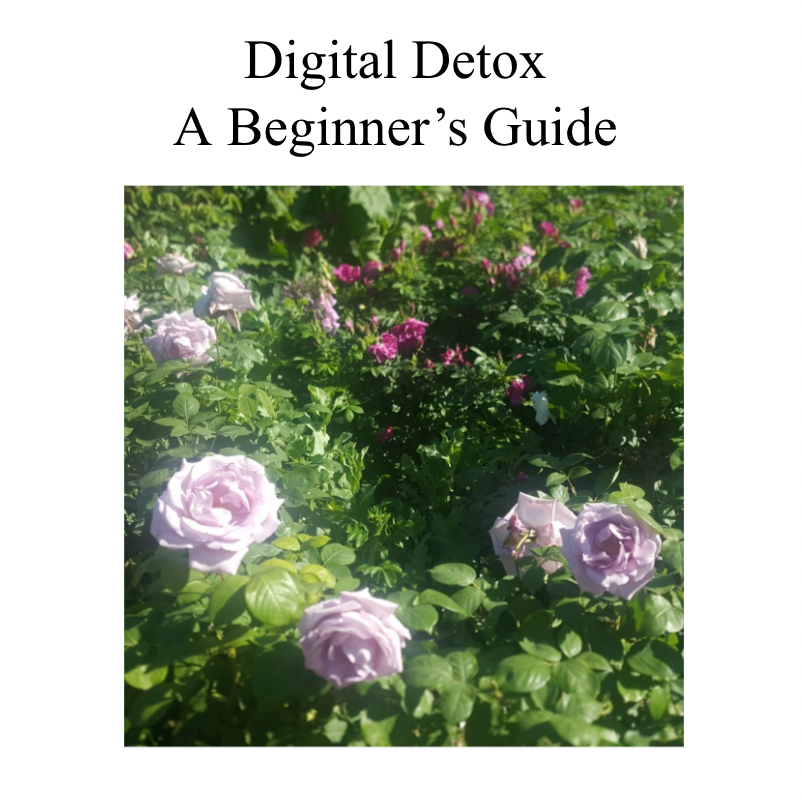 Digital Detox