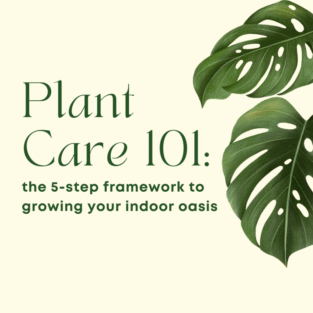 Plant Care Course