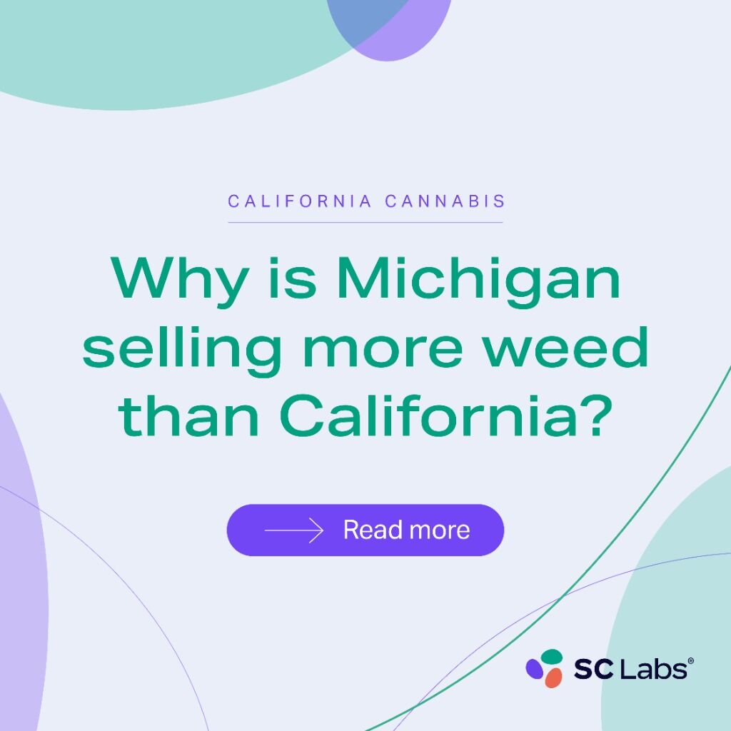 Why is Michigan selling more weed than California?