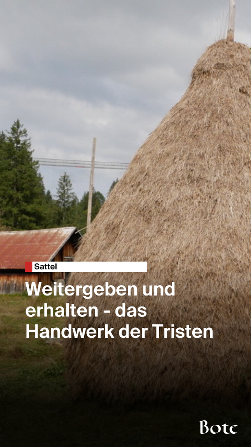 Tristen in Sattel