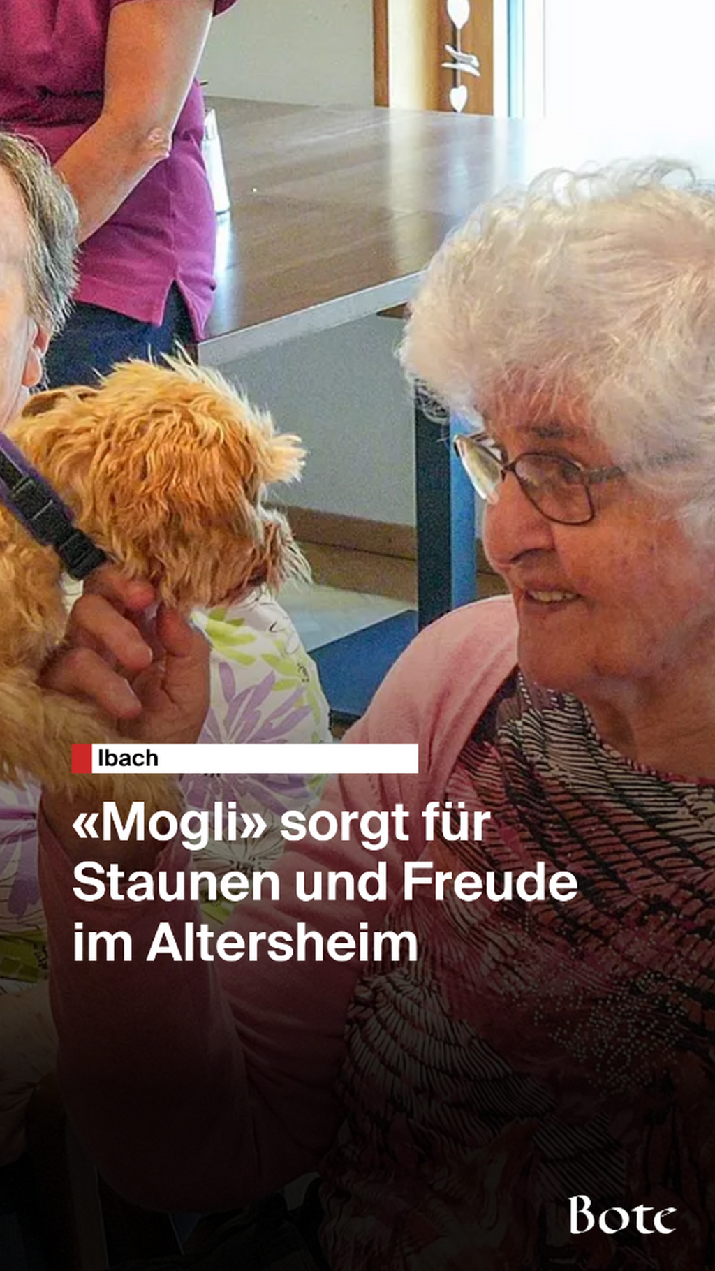 Hund Mogli im Altersheim